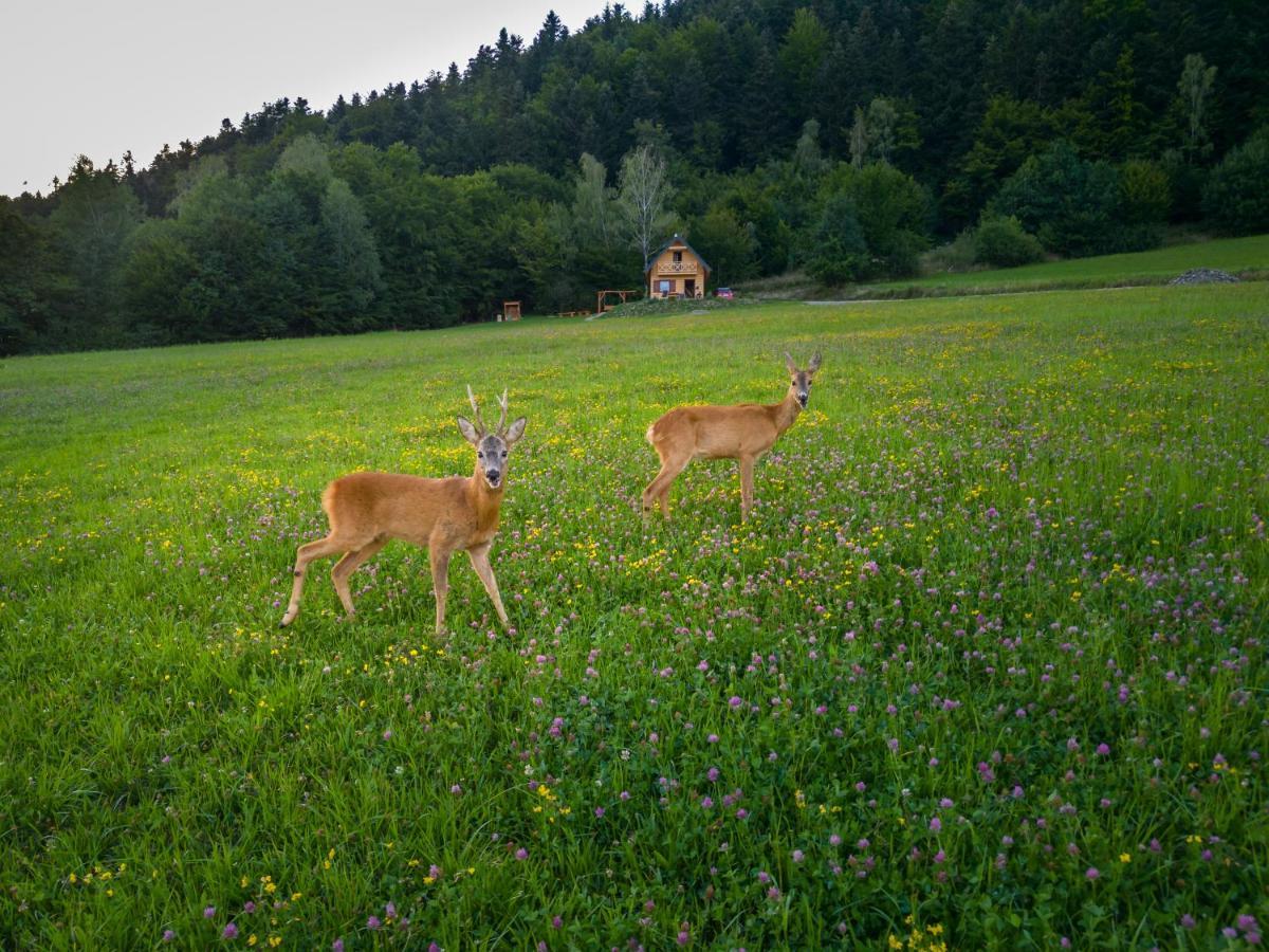 Domek Bogdanowka Pisarzowa Dış mekan fotoğraf